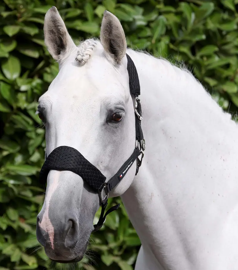 Necto 3D Mesh Head Collar With Lead Rope Black 1