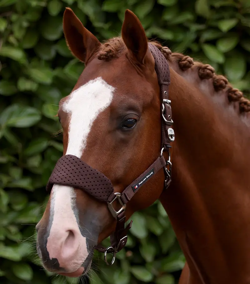 Necto 3D Mesh Head Collar With Lead Rope Brown 1