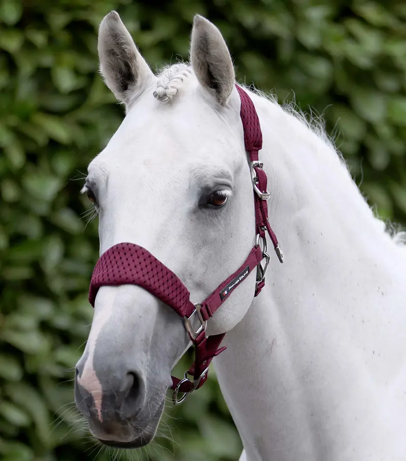 Necto 3D Mesh Head Collar With Lead Rope Burgundy 1
