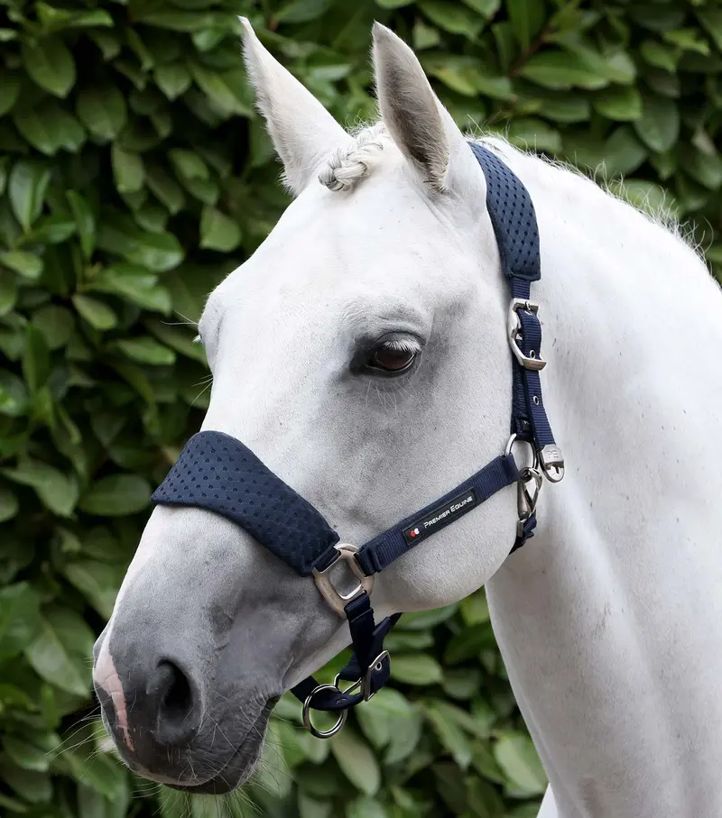 Necto 3D Mesh Head Collar With Lead Rope Navy 1
