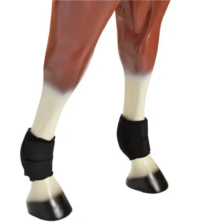 Neoprene Run Down Sesamoid Boots 1