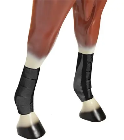 Neoprene Tendon & Ankle Boots 1