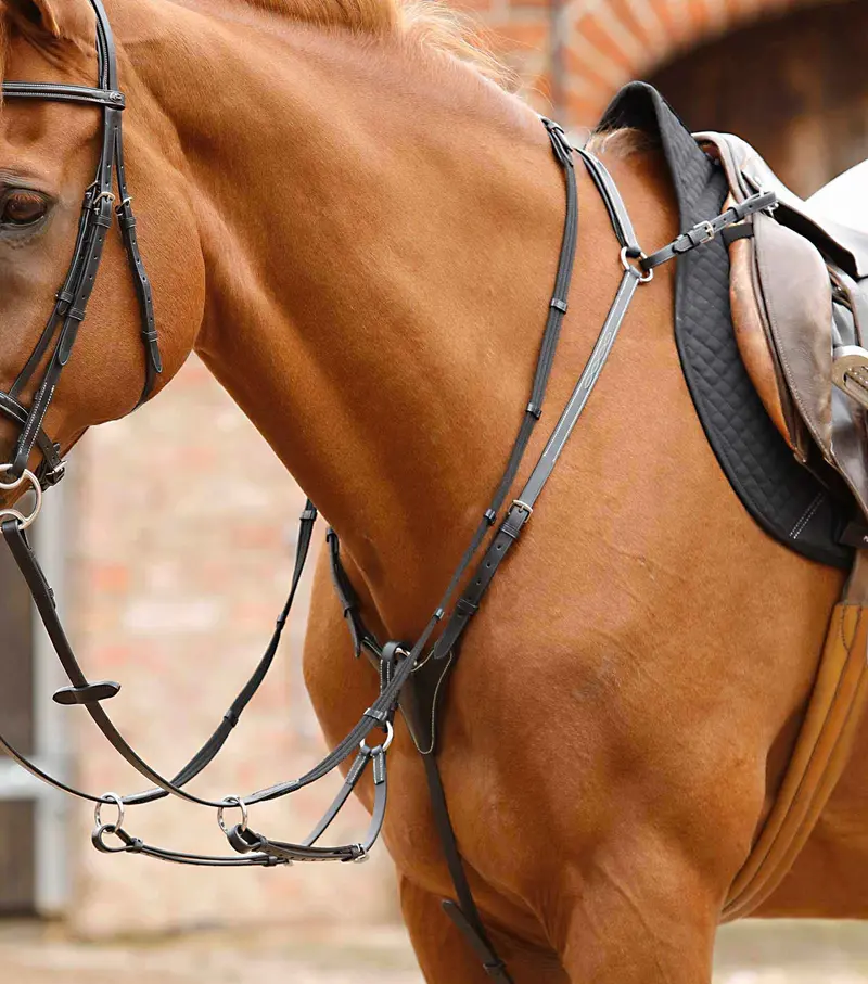 Norbello Hunter Breastplate Black 1