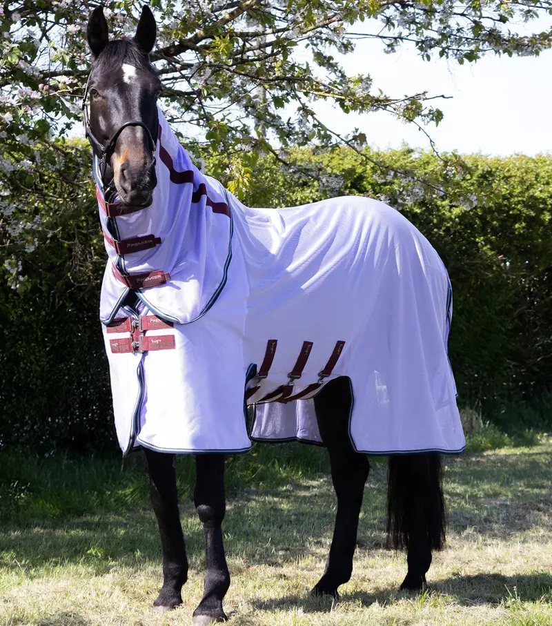 Nqp - Bug Buster Fly Rug With Detachable Neck And Belly Flap Lavender 1