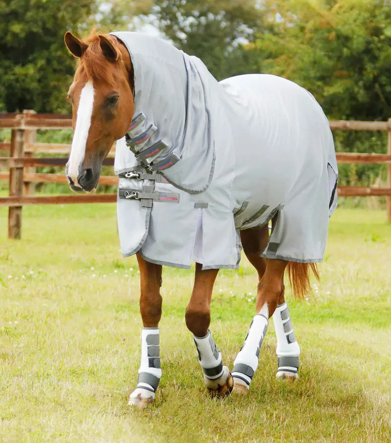 Nqp Combo Bug Buster Fly Rug With Belly Flap Silver 1
