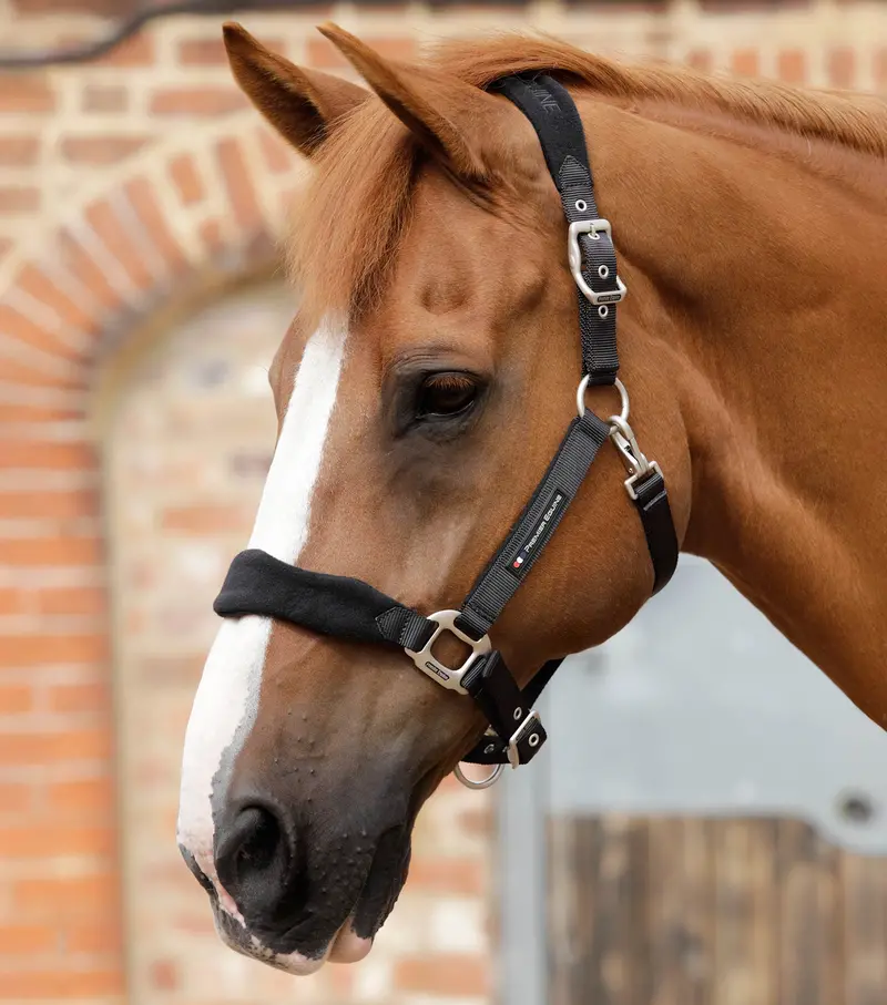 Nqp-Fleece Padded Head Collar Black 1