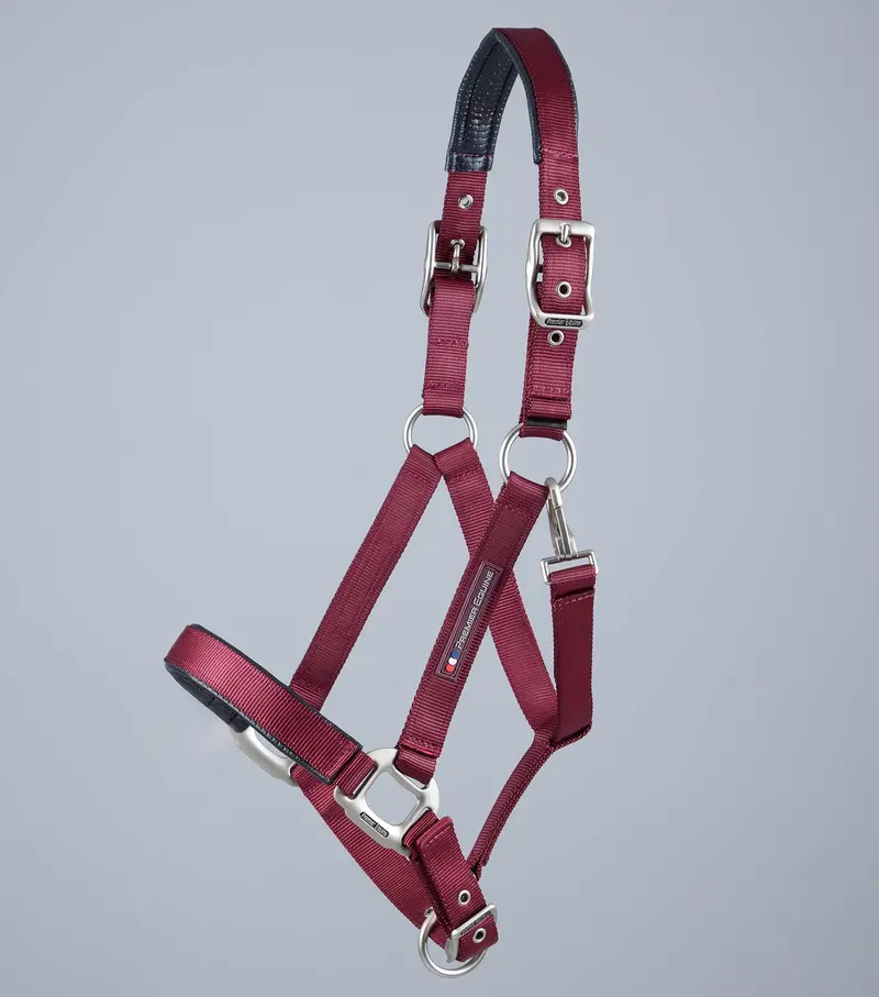 Nqp-Plain Padded Horse Head Collar Burgundy 2