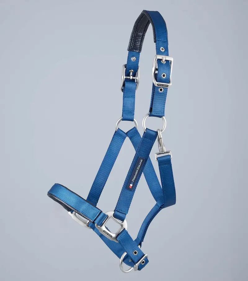 Nqp-Plain Padded Horse Head Collar Navy 2