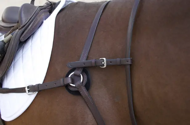 Nunn Finer Breastplate Attachment With Neck Strap Black/Zinc Hardware 1