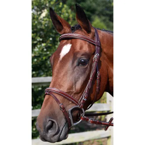 Nunn Finer Modena Bridle 1