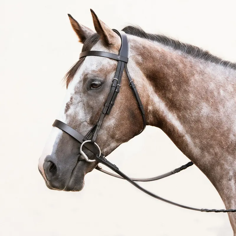 Nunn Finer Moreland Fox Hunting Bridle 1