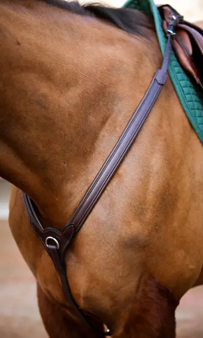 Nunn Finer Upperville Breastplate 1