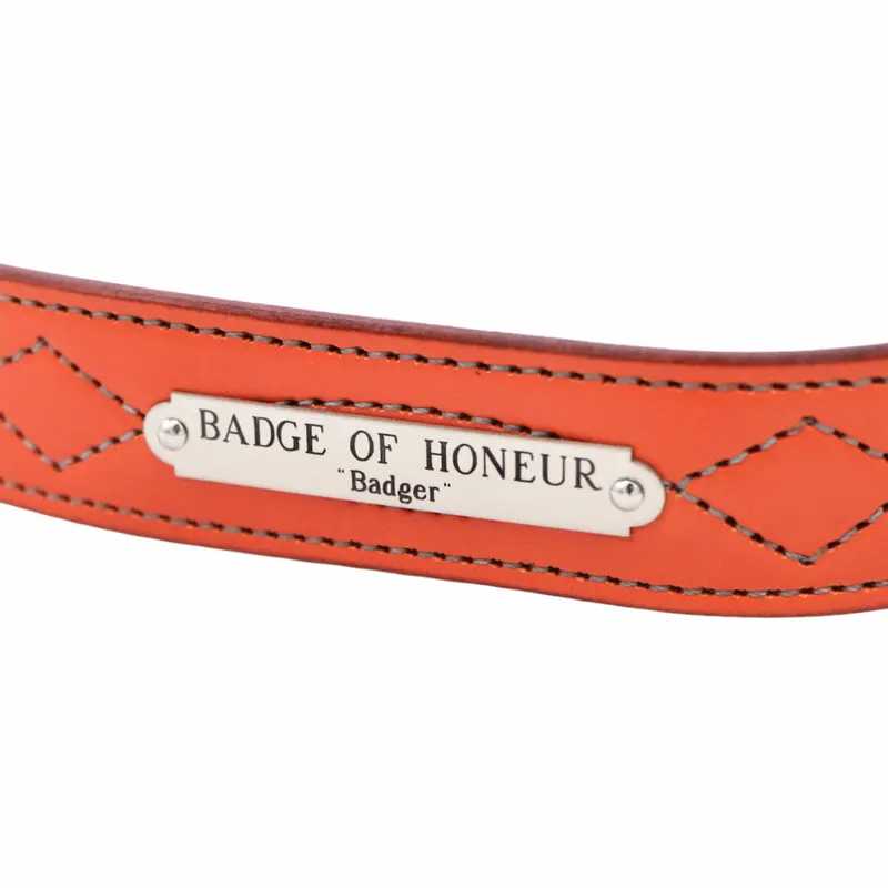 Ornamental Belt Plate 1
