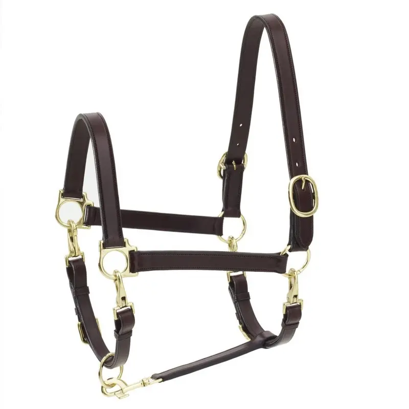 Ovation 4-Way Leather Grooming Halter 1