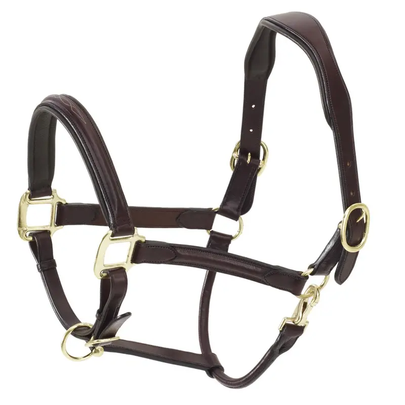 Ovation Ats Fancy Stitch Raised Padded Halter 1