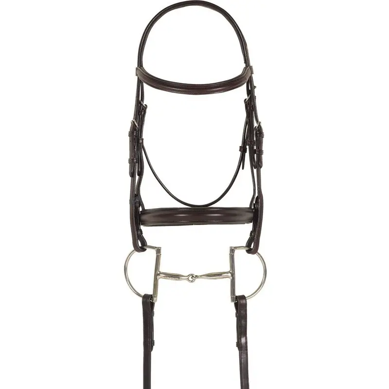 Ovation Breed Plain Raised Padded Bridle - Arabian 1