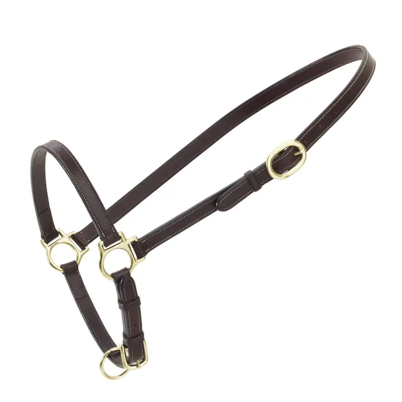 Ovation Leather Traditional Grooming Halter 1