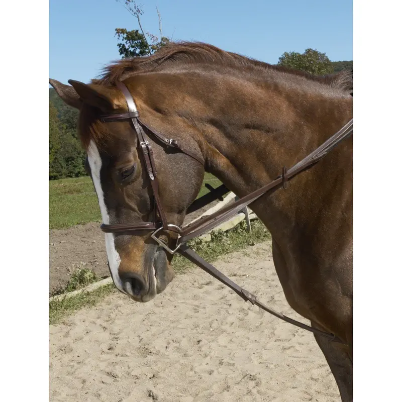 Ovation Stretch Cord Draw Reins 1