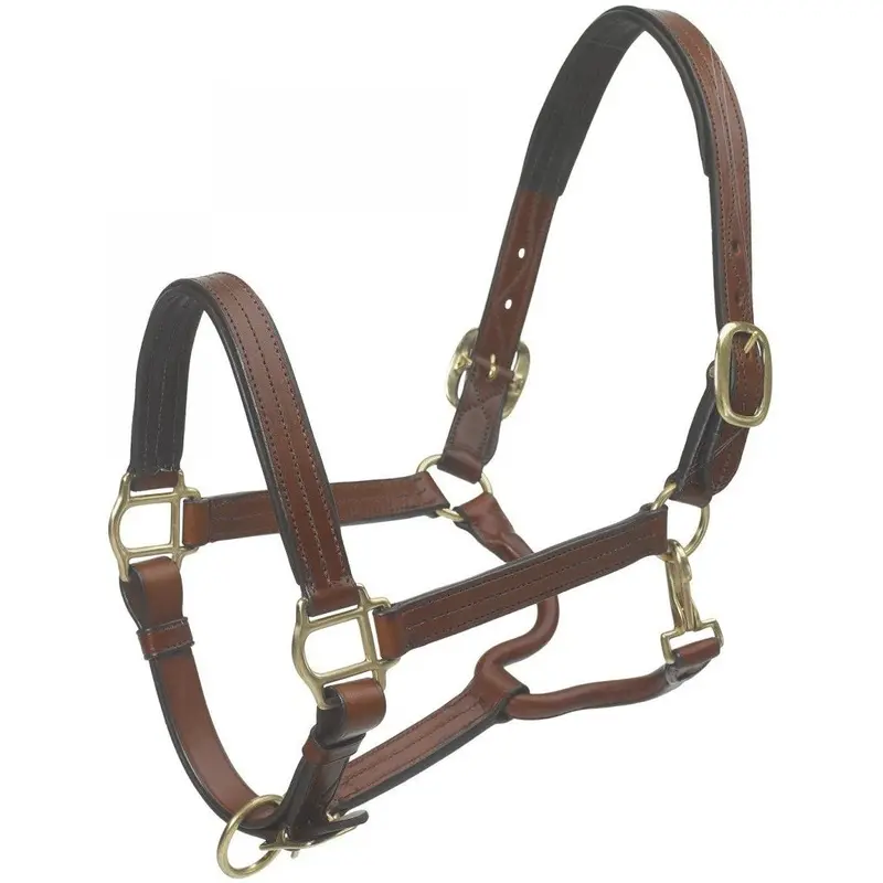 Ovation Triple Stitched Padded Halter 1