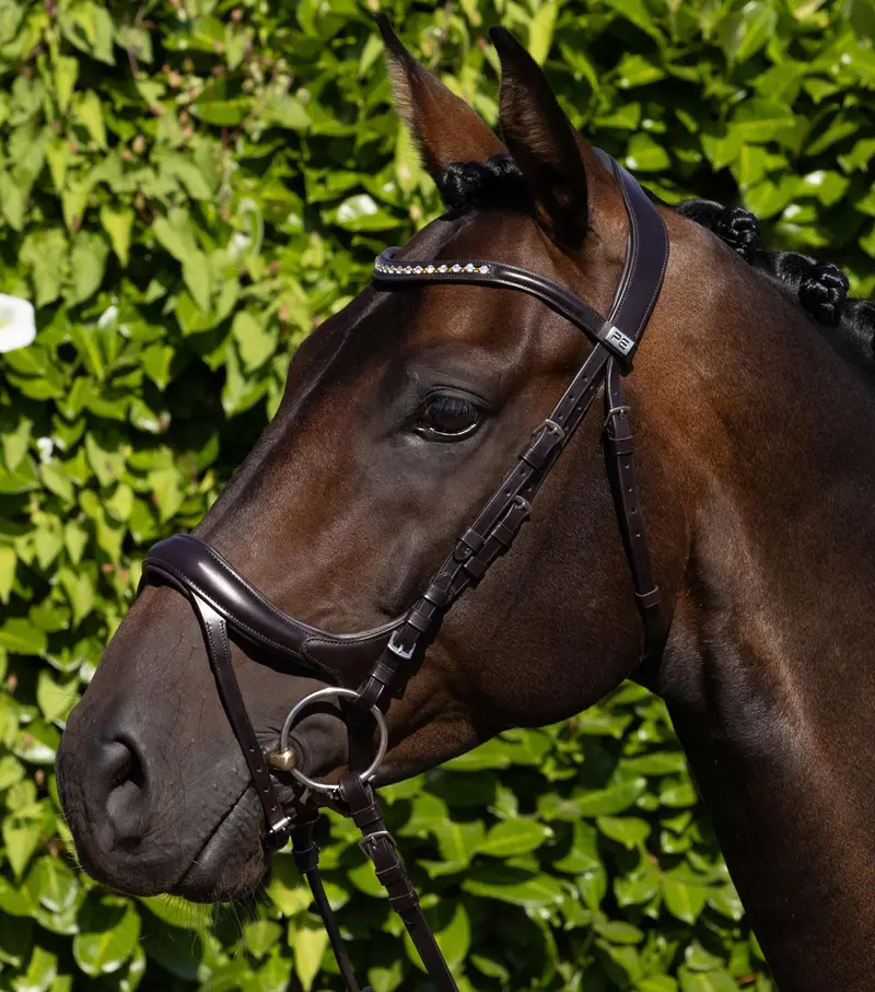 Palazzo Anatomical Bridle Brown 1