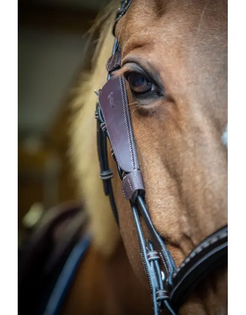 Pénélope Blinkers 2