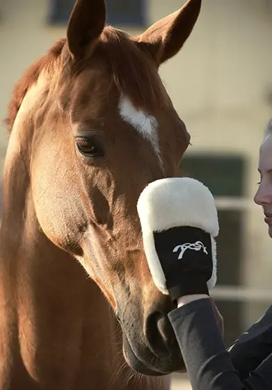 Pénélope Grooming Mitt 1