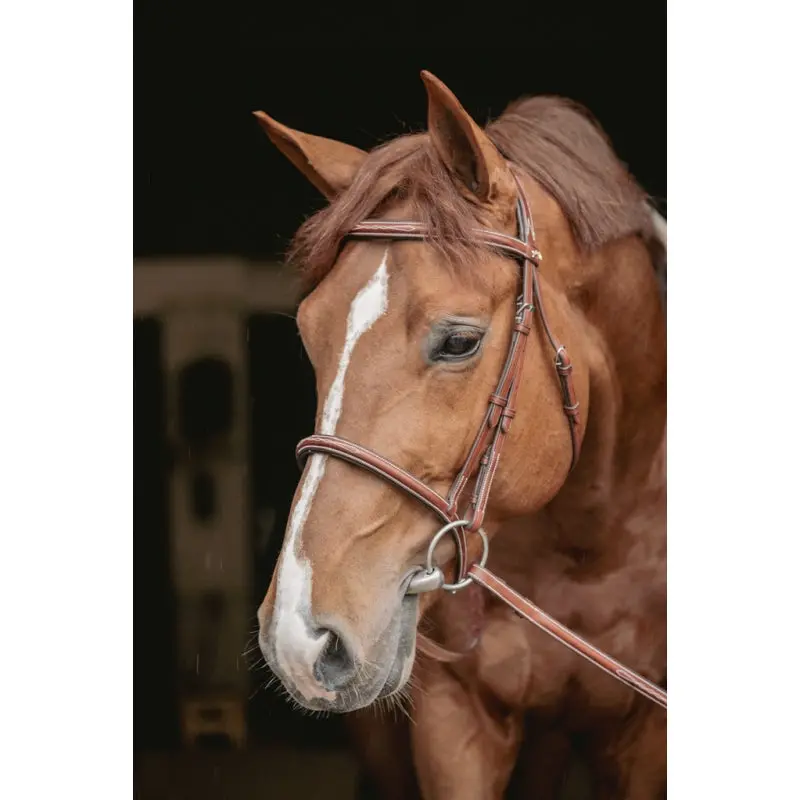 Pénélope Hunter Bridle 1