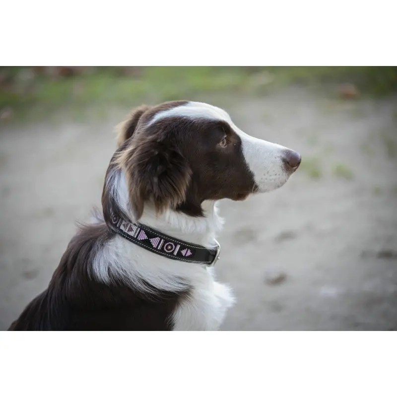 Pénélope Pearl Dog Leash 2