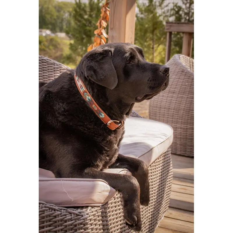 Pénélope Pearl Dog Leash 3