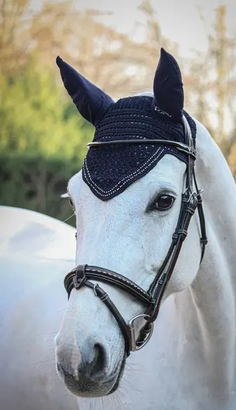 Pénélope Strass-Adorned Fly Veil for Horses