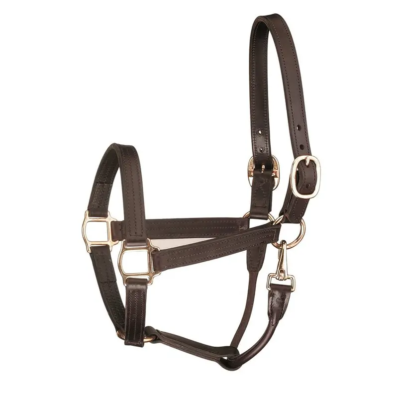 Perri's 1 Inch Premium Track  Show Halter 1