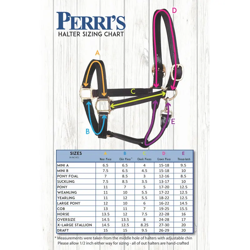 Perri's 1 Inch Premium Track Show Halter 2