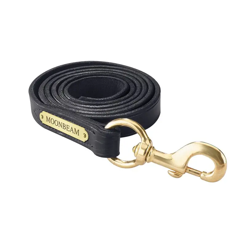Perri's 1" Leather Lead With Snap With Nameplate 1