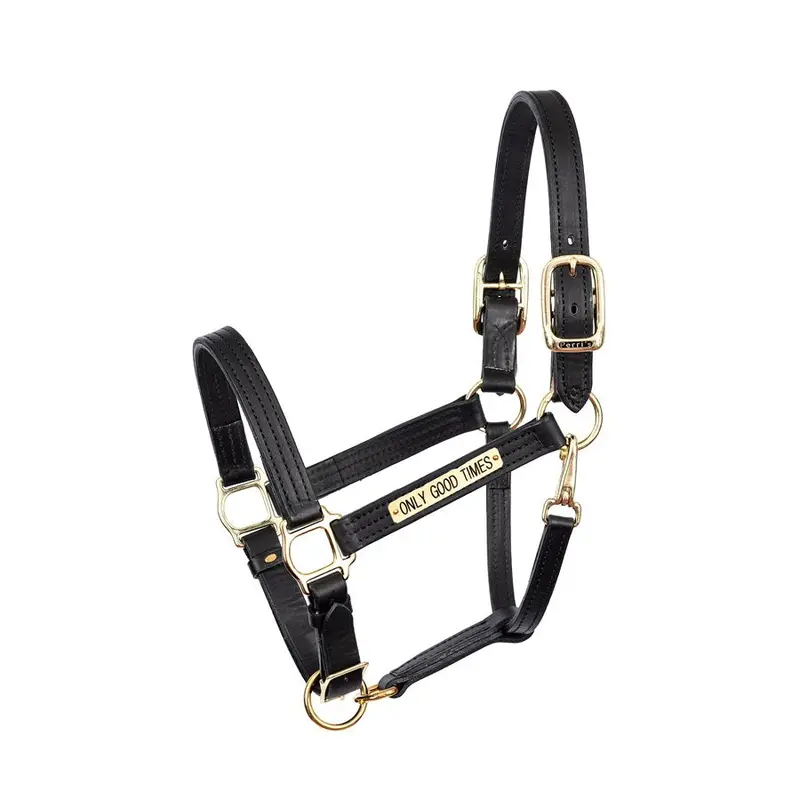 Perri's 1" Leather Turnout Halter & Nameplate 1
