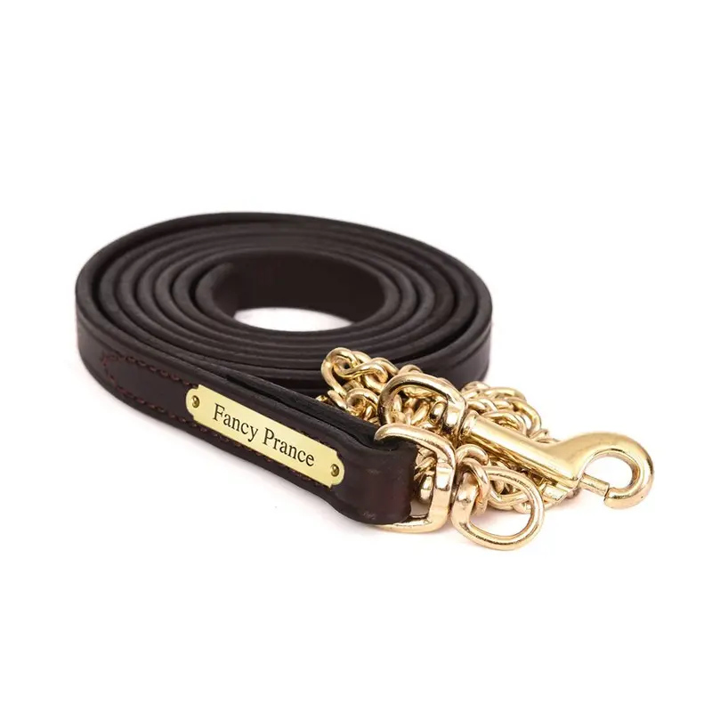 Perri's 3/4" Leather Lead With Brass Chain With Nameplate 1
