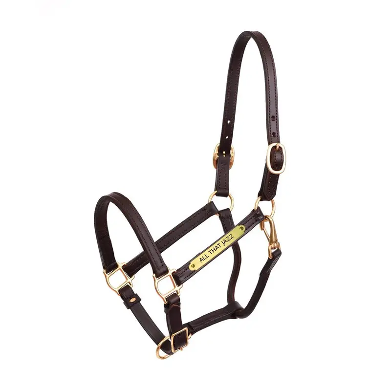 Perri's 3/4" Premium Leather Show Halter With Nameplate 1