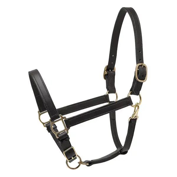 Perri's Black Leather Deluxe Turnout Halter 1
