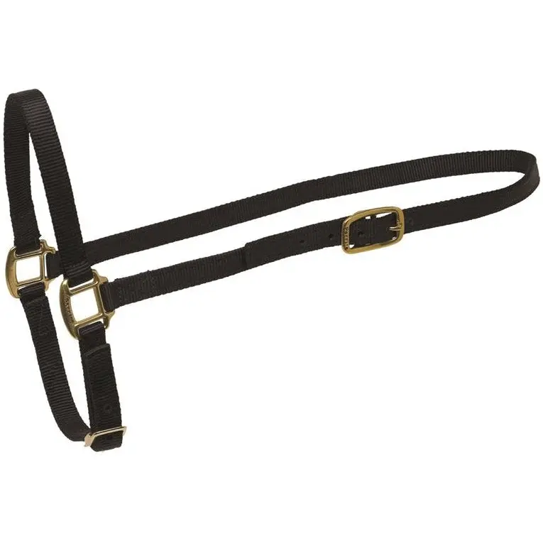 Perri's Black Nylon Grooming Halter-Horse 1