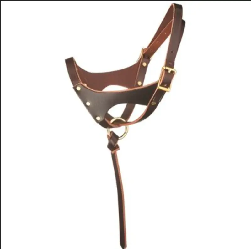 Perri's Double Crown Foal Halter 1