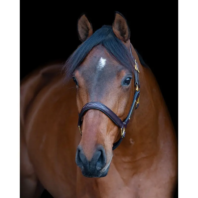 Perri's Fancy Stitched Leather Halter 1
