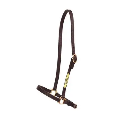 Perri's Grooming Halter With Nameplate 1