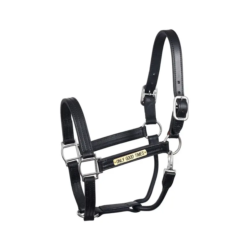 Perri's Heavy Duty Leather Halter With Nameplate 7