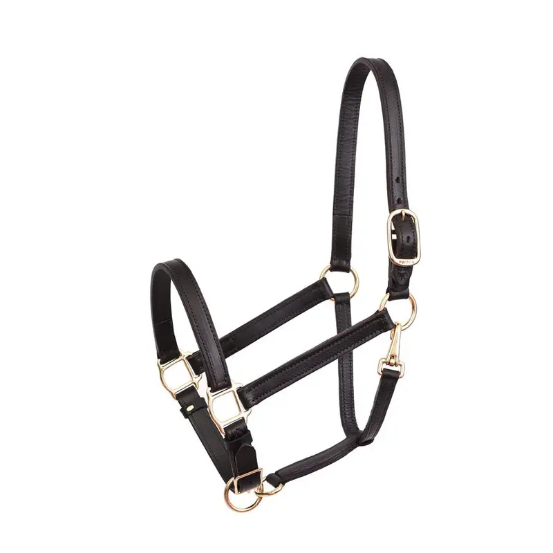 Perri's Leather 1" Leather Turnout Halter 2