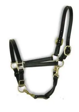 Perri's Leather 3/4" Convertible Grooming Halter 1
