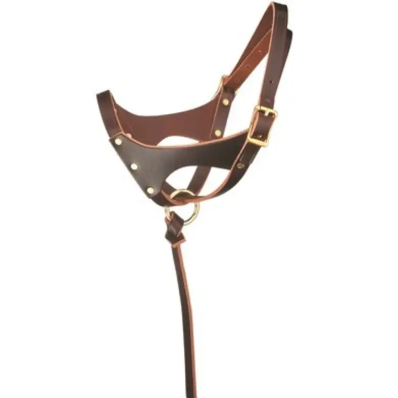 Perri's Leather Double Crown Foal Halter 1