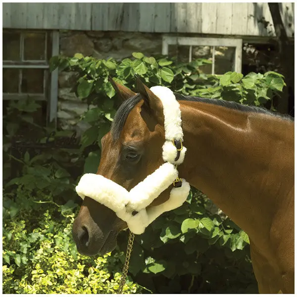 Perri's Leather Genuine Sheepskin Shipping Halter 1