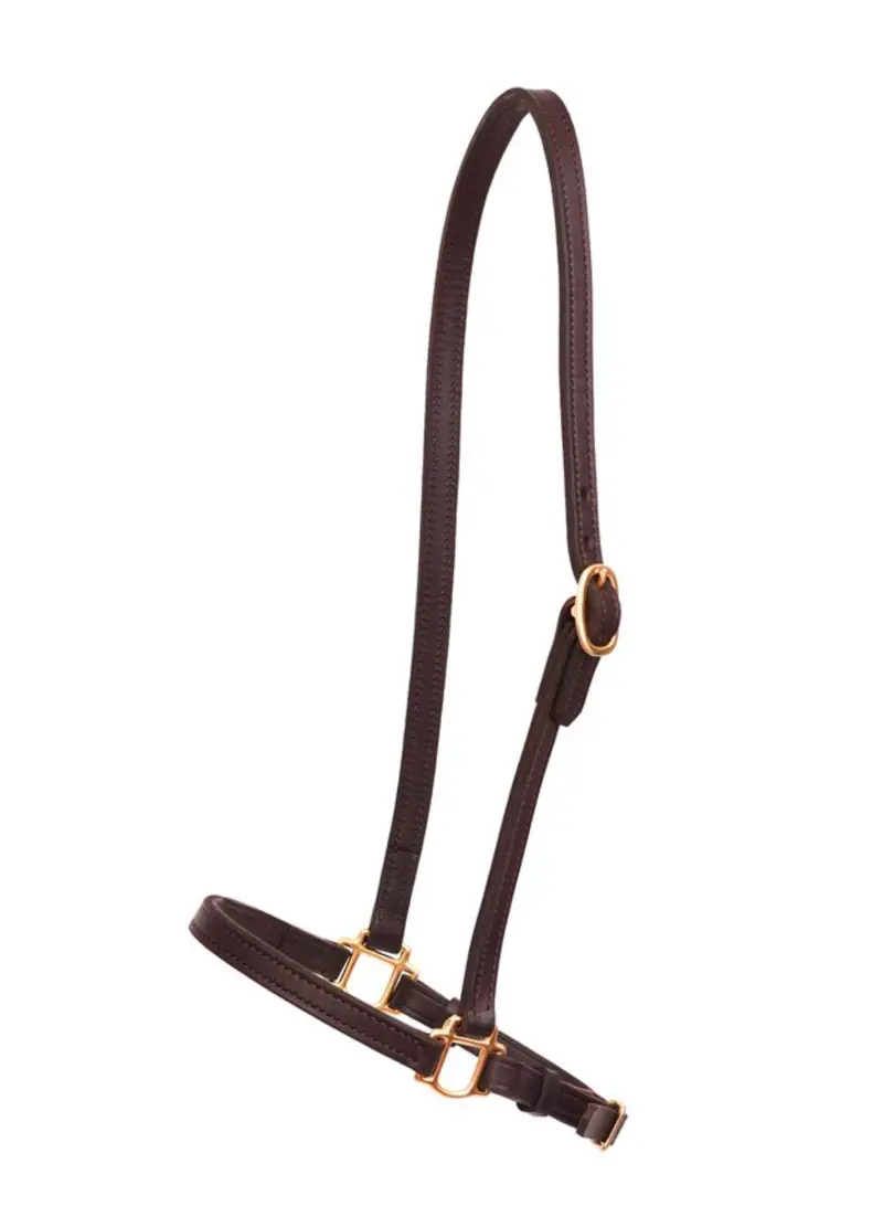Perri's Leather Grooming Halter 1