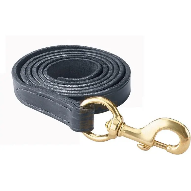 Perri's Leather Lead With Brass Snap 1