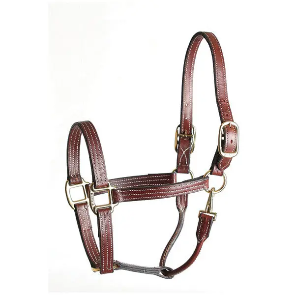 Perri's Leather Stable Halter 1