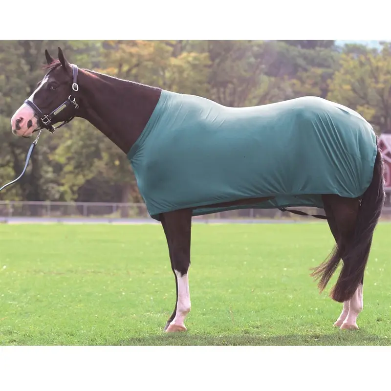 Perri's Lycra Full Body Sheet 1